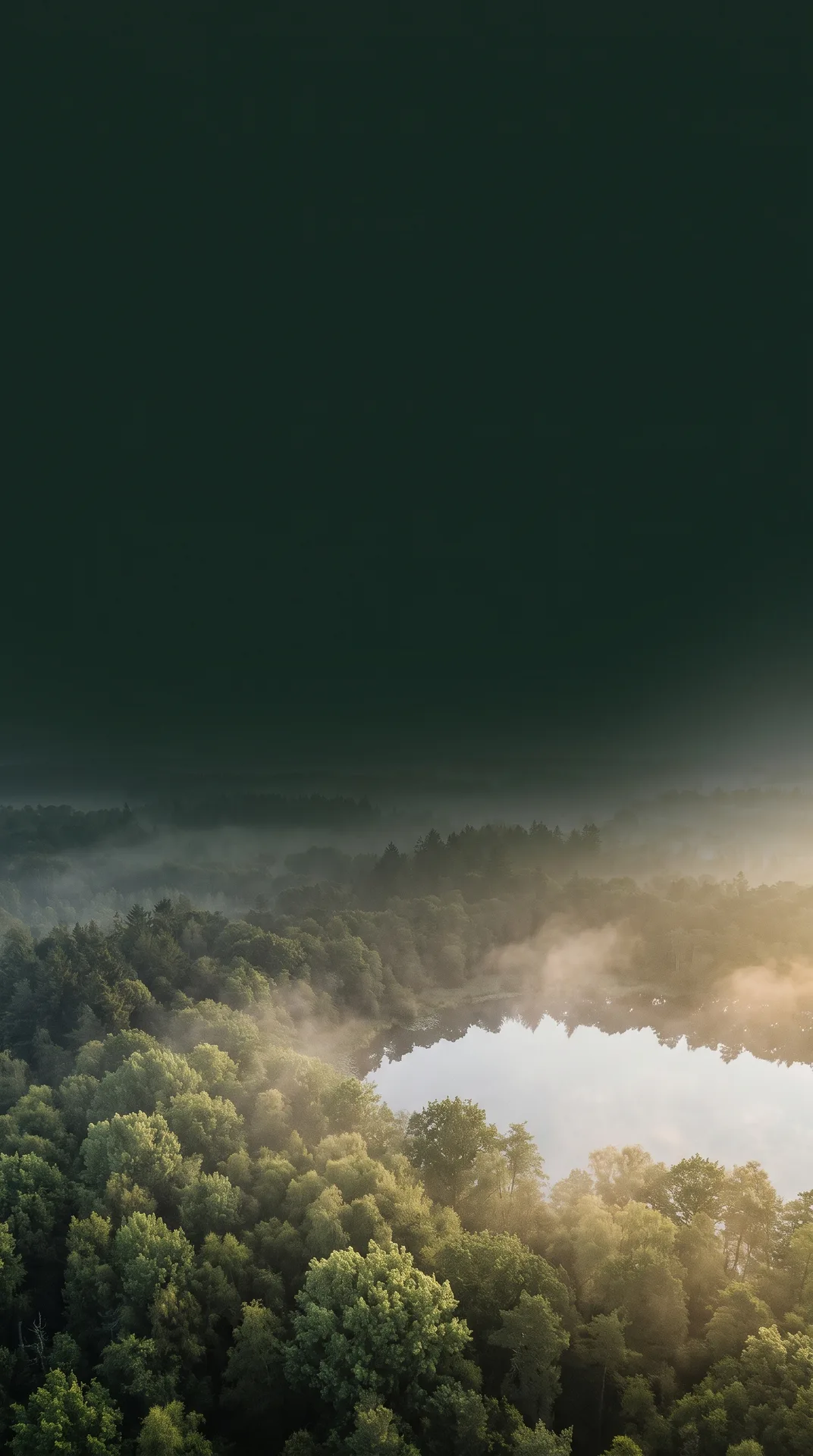 Luchtfoto van mistig bos en spiegelend meer in ochtendgoud in Groningen